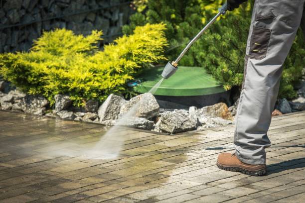 Professional  Pressure Washing Services in Paradise, NV